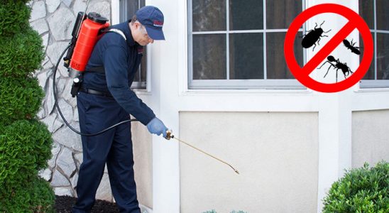 Özdere Dezenfeksiyon böcek ilaçlama ve haşere kontrolü — ilaclama-tr.com